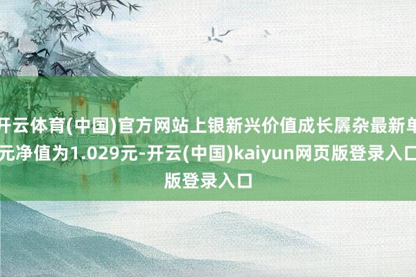 开云体育(中国)官方网站上银新兴价值成长羼杂最新单元净值为1.029元-开云(中国)kaiyun网页版登录入口