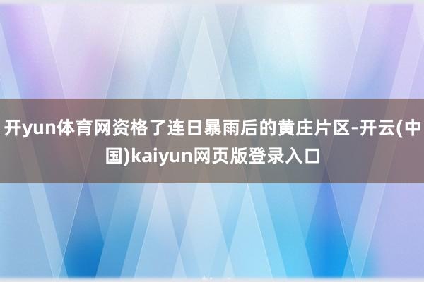 开yun体育网资格了连日暴雨后的黄庄片区-开云(中国)kaiyun网页版登录入口