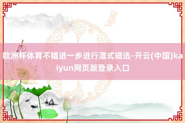 欧洲杯体育不错进一步进行湿式磁选-开云(中国)kaiyun网页版登录入口