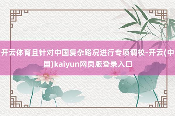 开云体育且针对中国复杂路况进行专项调校-开云(中国)kaiyun网页版登录入口